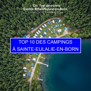 Top 4 des Campings à Sainte-Eulalie-en-Born