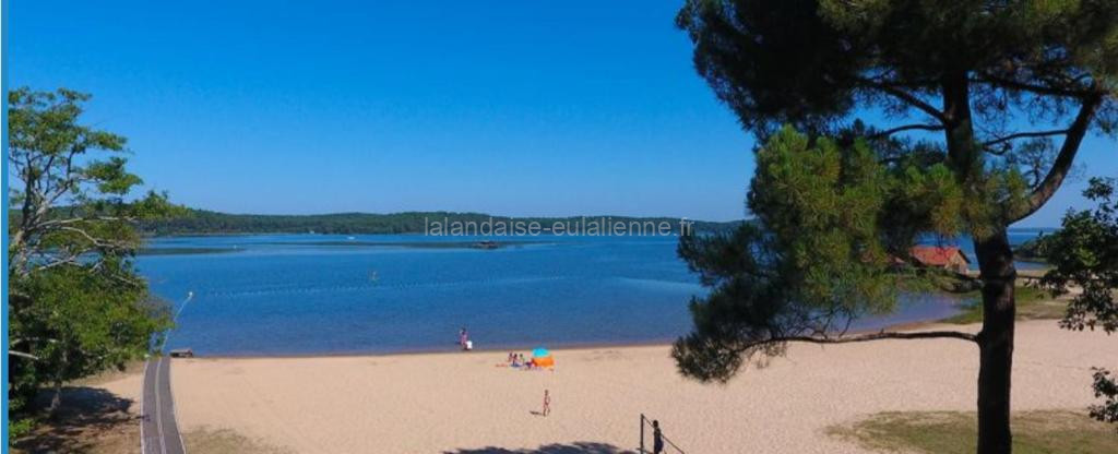 Photo de Vacances dans un mobil home climatisé dans les landes entre forêt, lacs et océan